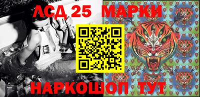 кокс Нальчик