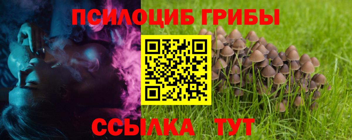 Псилоцибиновые грибы Magic Shrooms Урюпинск