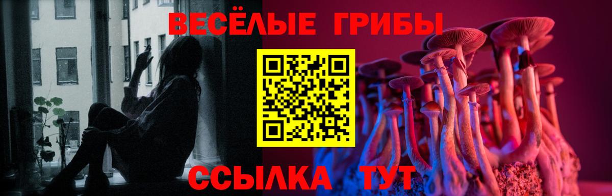 Галлюциногенные грибы Psilocybine cubensis  Вход с VPN  Галлюциногенные грибы мицелий  Урюпинск 